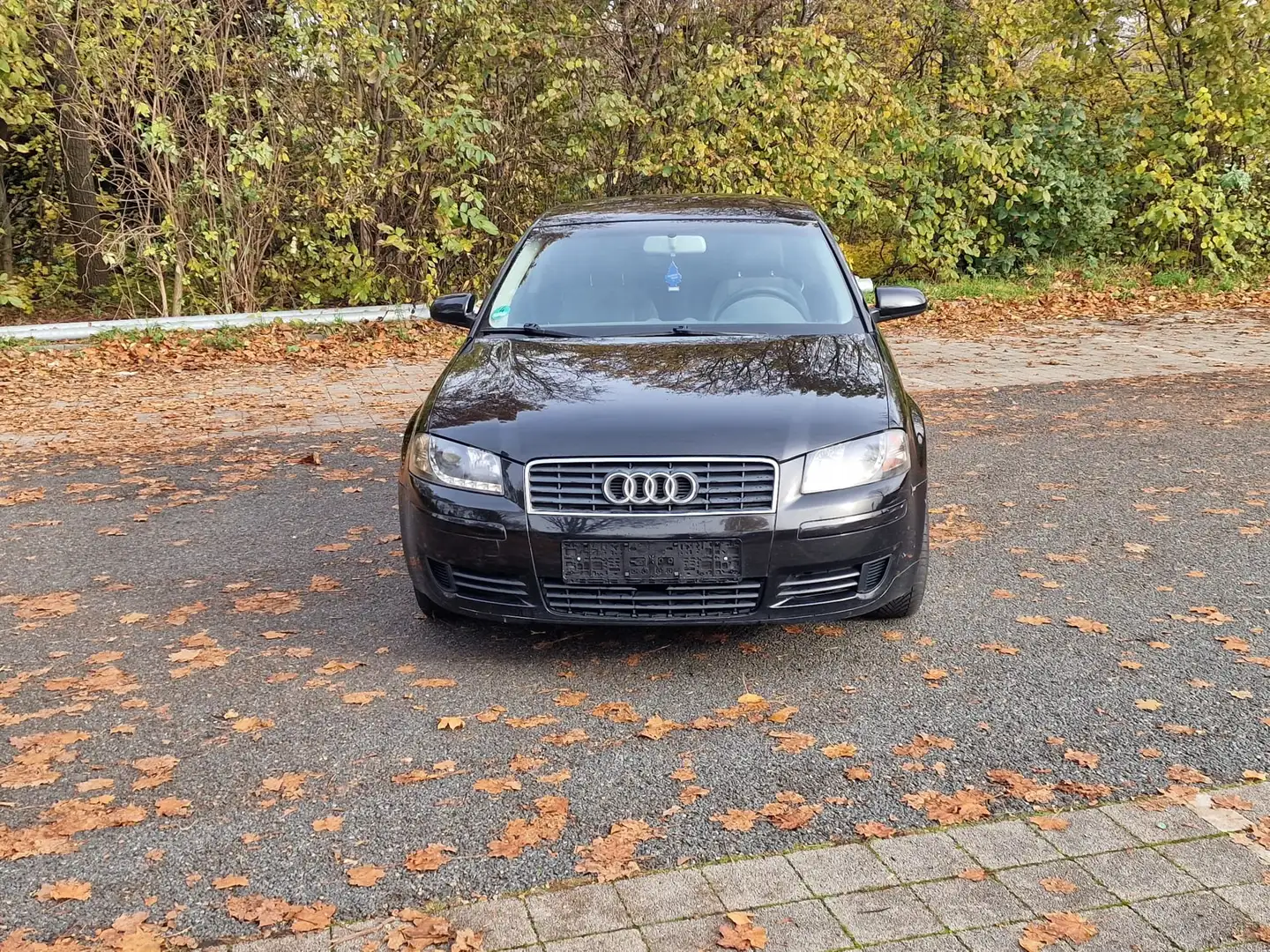 Audi A3 A3 1.6 S Line Sportpaket plus | TÜV NEU | KLIMA Schwarz - 2