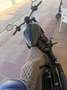 Indian Chief Dark horse Verde - thumbnail 3