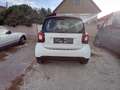 smart Sonstige Smart fortwo Weiß - thumbnail 2
