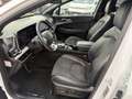 Kia Sportage 1.6crdi mhev GT-line dct NO VINCOLI FINANZIAMENTO! Weiß - thumbnail 5