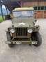 Jeep Willys - thumbnail 6