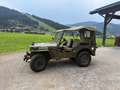 Jeep Willys - thumbnail 7