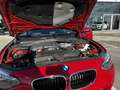 BMW 116 116i Essential Edition Rood - thumbnail 15