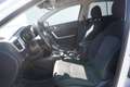 Kia Sonstige Ceed 1.0 T-GDI Silber OPF Weiß - thumbnail 33