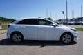 Kia Sonstige Ceed 1.0 T-GDI Silber OPF Weiß - thumbnail 7