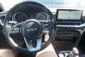 Kia Sonstige Ceed 1.0 T-GDI Silber OPF Weiß - thumbnail 16