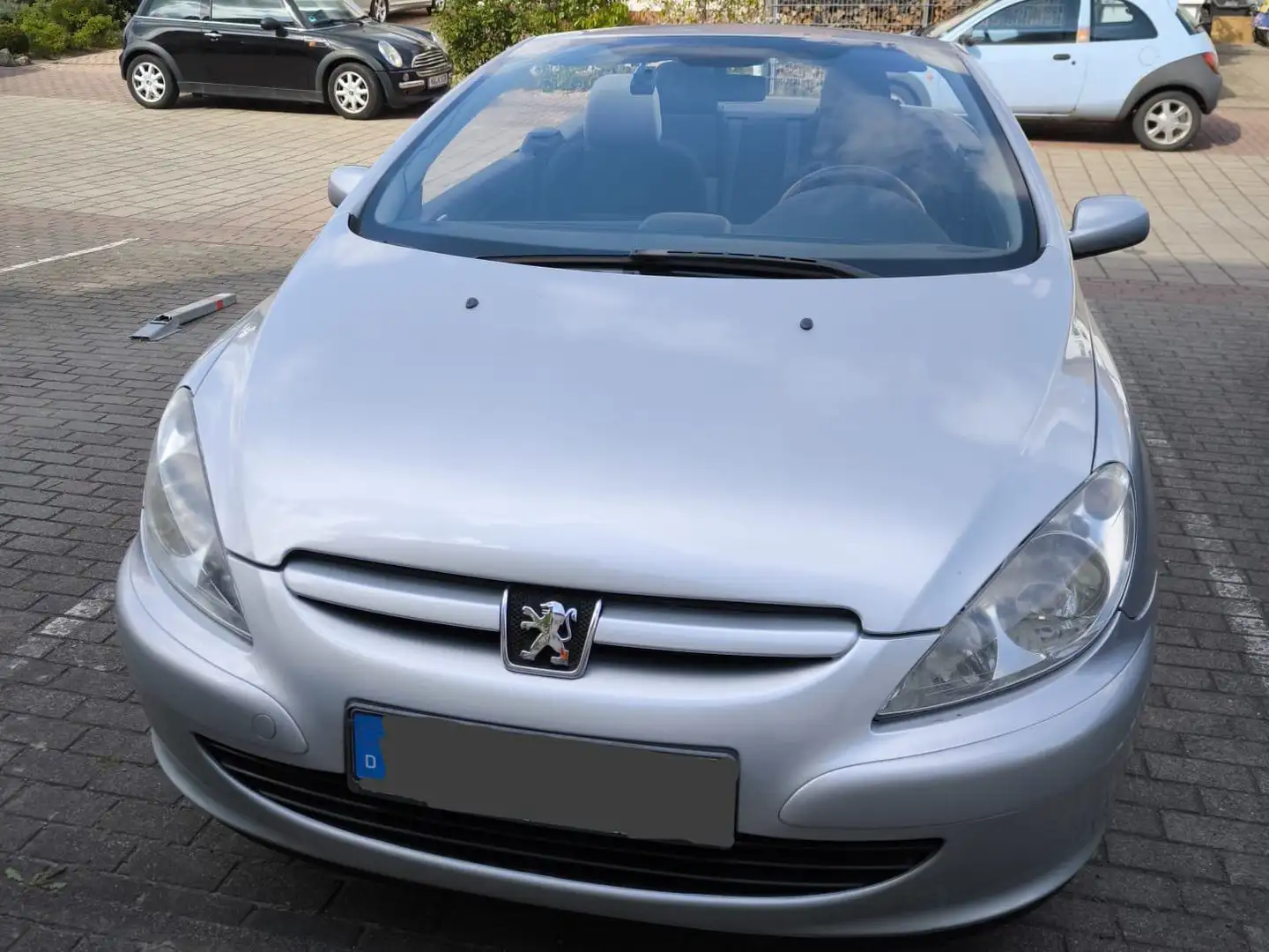 Peugeot 307 307 CC 110 Filou Silber - 1