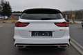 Kia Ceed / cee'd SW 1.5 T-GDI DCT7 GT Line UVP 41.059 EUR Weiß - thumbnail 5