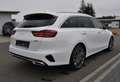 Kia Ceed / cee'd SW 1.5 T-GDI DCT7 GT Line UVP 41.059 EUR Weiß - thumbnail 6