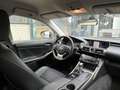 Lexus IS 300 300h First Edition | MHEV/Navi/Clima/Cruise/18"/Ca Grau - thumbnail 4