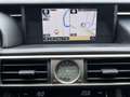 Lexus IS 300 300h First Edition | MHEV/Navi/Clima/Cruise/18"/Ca Grau - thumbnail 9