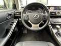 Lexus IS 300 300h First Edition | MHEV/Navi/Clima/Cruise/18"/Ca Grau - thumbnail 48