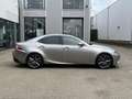 Lexus IS 300 300h First Edition | MHEV/Navi/Clima/Cruise/18"/Ca Grau - thumbnail 3