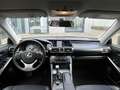 Lexus IS 300 300h First Edition | MHEV/Navi/Clima/Cruise/18"/Ca Grau - thumbnail 7
