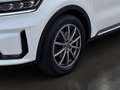 Kia Sorento 1,6 T-GDI Plug-In Hybrid GPF AWD Gold Aut. Weiß - thumbnail 18