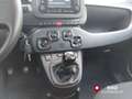 Fiat Panda 1.0 FireFly S&S Hybrid Grigio - thumbnail 14