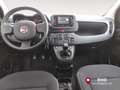 Fiat Panda 1.0 FireFly S&S Hybrid Grigio - thumbnail 11