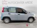 Fiat Panda 1.0 FireFly S&S Hybrid Grigio - thumbnail 5