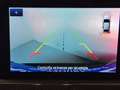 Ford Kuga 2.0 ecoblue ST-Line 2wd 120cv auto Grigio - thumbnail 25