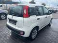 Fiat Panda /SERVICE NEU/TÜV NEU/KLIMA/ - thumbnail 6