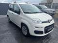 Fiat Panda /SERVICE NEU/TÜV NEU/KLIMA/ - thumbnail 7