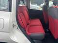 Fiat Panda /SERVICE NEU/TÜV NEU/KLIMA/ - thumbnail 12