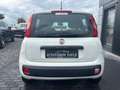 Fiat Panda /SERVICE NEU/TÜV NEU/KLIMA/ - thumbnail 4