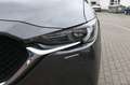 Mazda CX-5 2.0Schalter Sports-LineAWD*BOSE*HuD*AHK*360 Grau - thumbnail 9