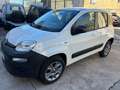 Fiat Panda 1.3 mjt 16v 4x4 AUTOCARRO VAN SOLO 68500 KM Bianco - thumbnail 3