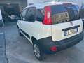 Fiat Panda 1.3 mjt 16v 4x4 AUTOCARRO VAN SOLO 68500 KM Bianco - thumbnail 7
