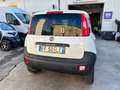 Fiat Panda 1.3 mjt 16v 4x4 AUTOCARRO VAN SOLO 68500 KM Bianco - thumbnail 4