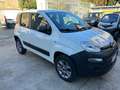 Fiat Panda 1.3 mjt 16v 4x4 AUTOCARRO VAN SOLO 68500 KM Bianco - thumbnail 1