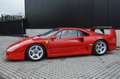 Ferrari F40 LM PACK !! SOLD !! VERKOCHT !! VENDU !! Piros - thumbnail 5