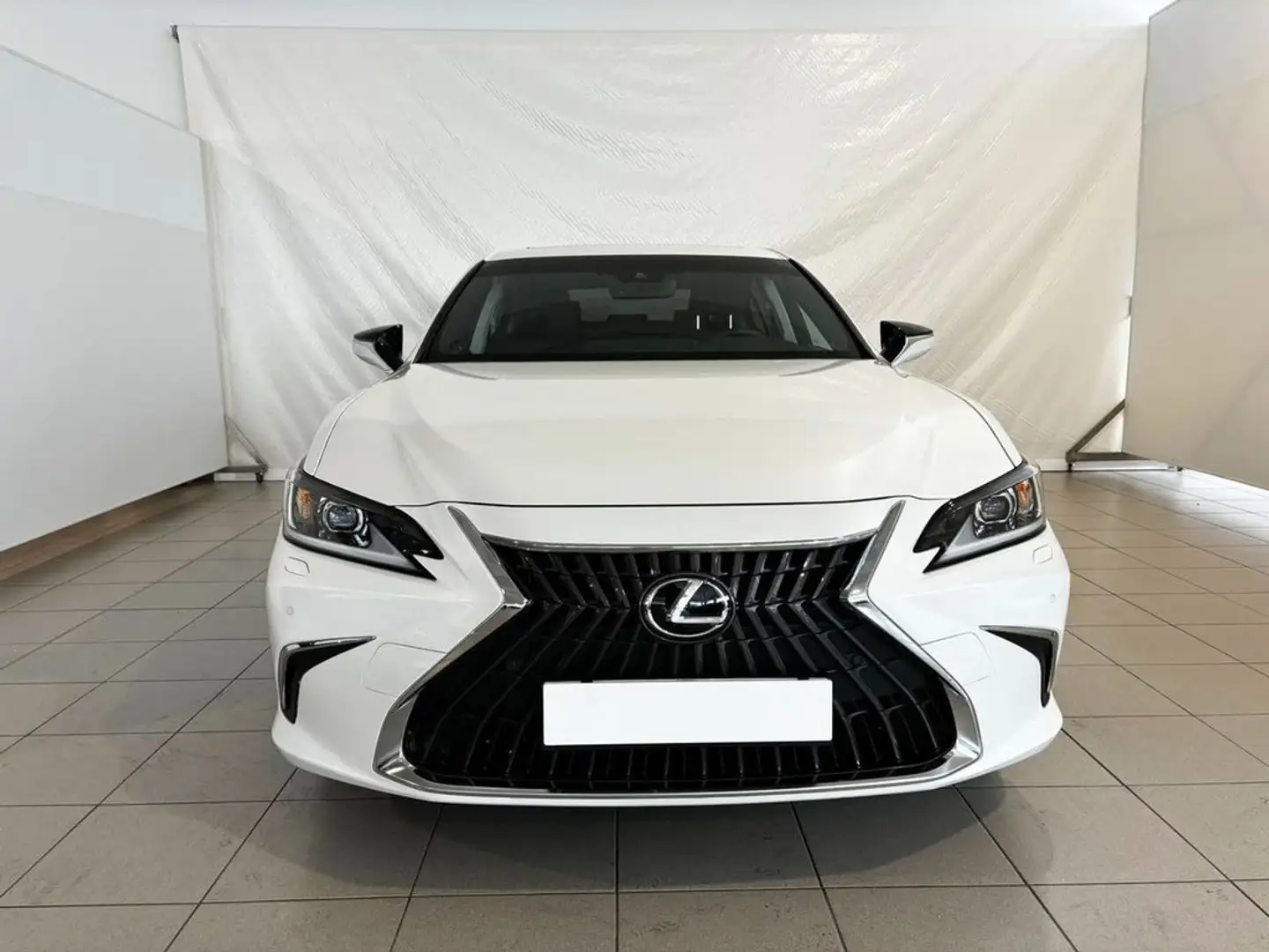 Lexus ES 300 300h Premium Blanco - 2