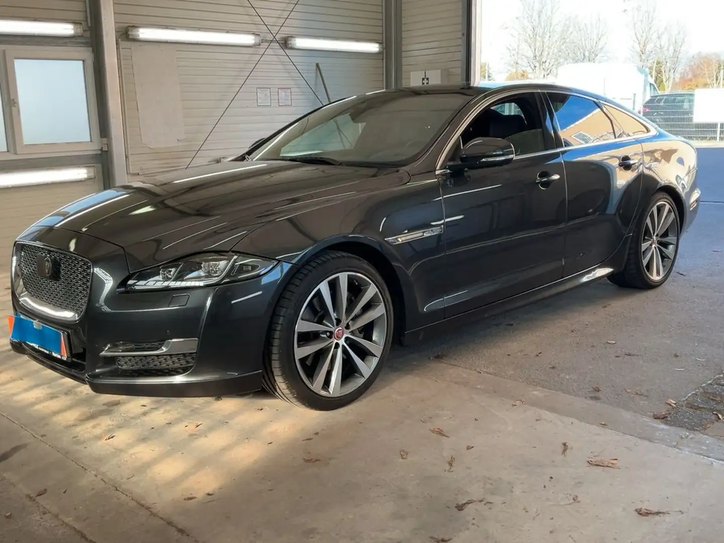 Jaguar XJ 3.0D R-Sport / Pano / LED / 360/ Gris - 1