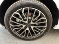 Audi Q3 TDI 110 kW Weiß - thumbnail 14
