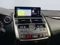 Lexus NX 300h Style Edition *Bi-LED*CAM*SHZ*PDC*CarPlay* Blanc - thumbnail 16