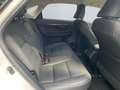 Lexus NX 300h Style Edition *Bi-LED*CAM*SHZ*PDC*CarPlay* Blanc - thumbnail 20