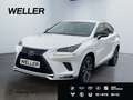 Lexus NX 300h Style Edition *Bi-LED*CAM*SHZ*PDC*CarPlay* Blanc - thumbnail 1
