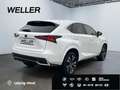 Lexus NX 300h Style Edition *Bi-LED*CAM*SHZ*PDC*CarPlay* Blanc - thumbnail 19
