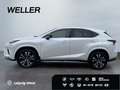 Lexus NX 300h Style Edition *Bi-LED*CAM*SHZ*PDC*CarPlay* Blanc - thumbnail 5