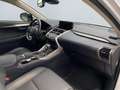 Lexus NX 300h Style Edition *Bi-LED*CAM*SHZ*PDC*CarPlay* Blanc - thumbnail 21