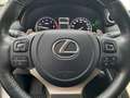 Lexus NX 300h Style Edition *Bi-LED*CAM*SHZ*PDC*CarPlay* Blanc - thumbnail 14