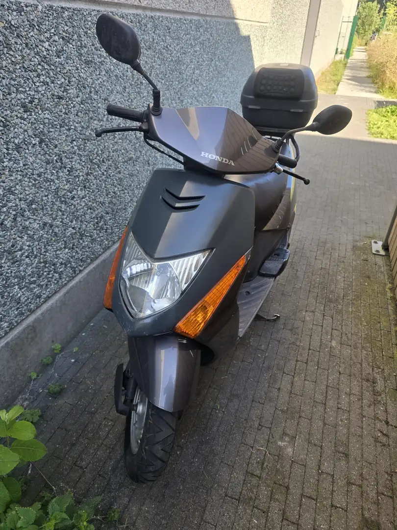 Honda Lead Paars - 1