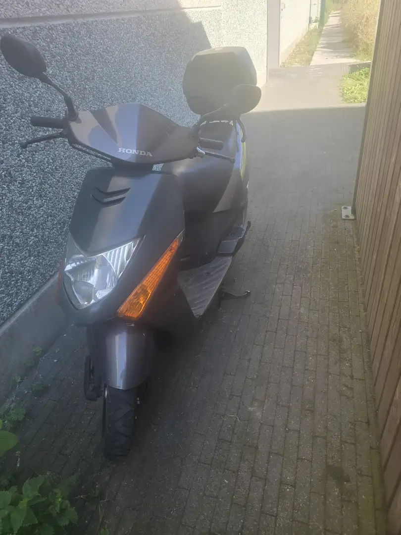 Honda Lead Paars - 2