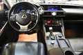 Lexus IS 300 300h Executive Wit - thumbnail 17