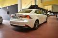 Lexus IS 300 300h Executive Wit - thumbnail 10