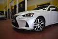Lexus IS 300 300h Executive Wit - thumbnail 9