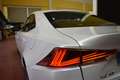 Lexus IS 300 300h Executive Wit - thumbnail 13