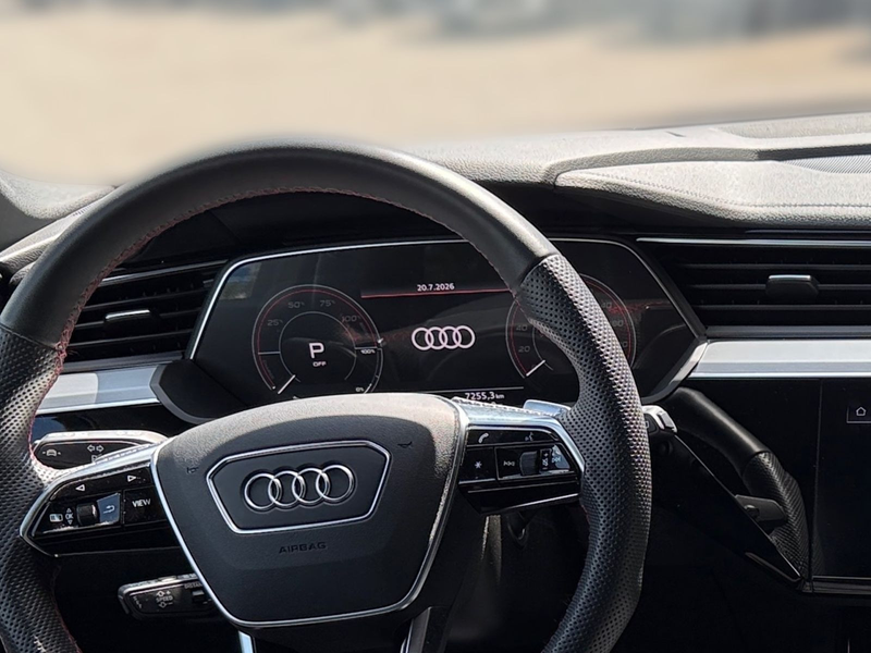 Audi Q8 e-tron 55 quattro s-line — photo 15